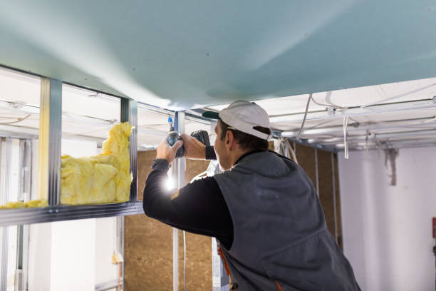 Best Eco-Friendly Insulation in Vienna, IL
