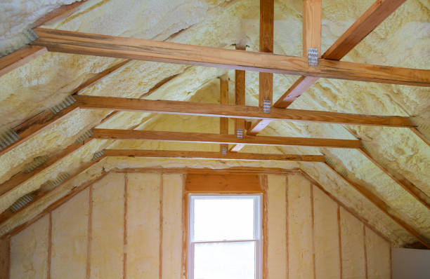 Trusted Vienna, IL Insulation Contractor Experts