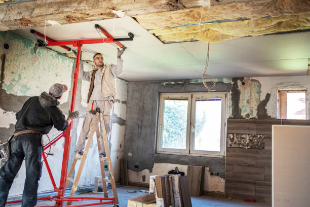 Best Spray Foam Insulation in Vienna, IL