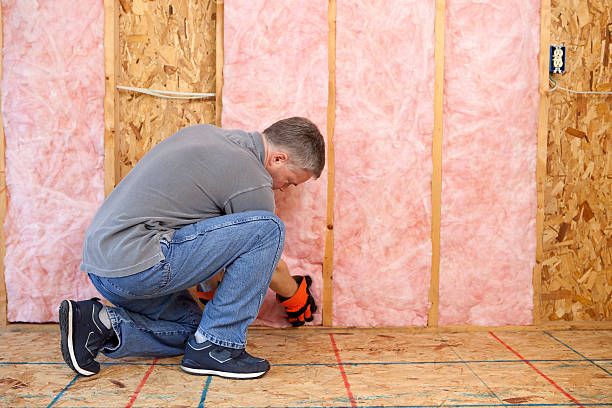 Best Fiberglass Insulation in Vienna, IL